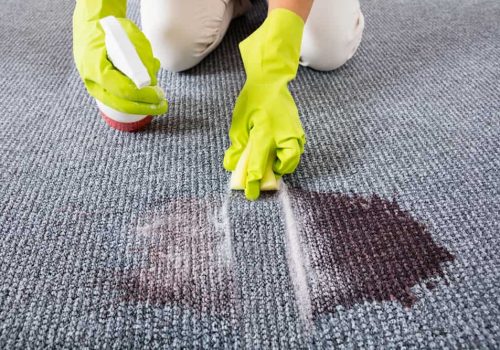 carpet cleaning service